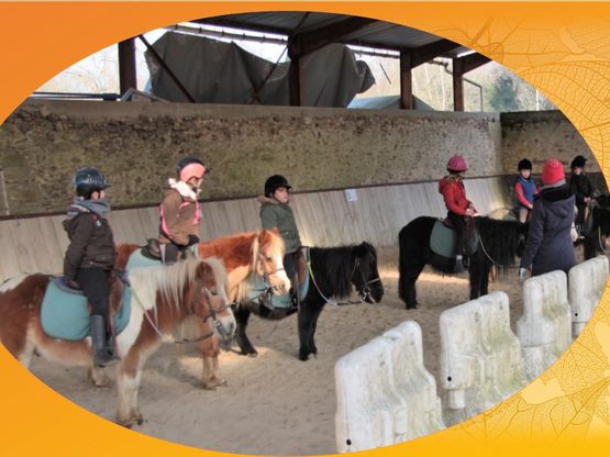 Activités  Rambouillet (78)  Centre Equestre Poney Club de Rambouillet