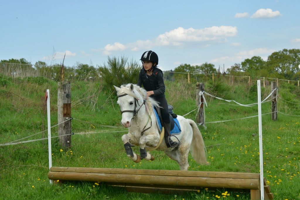 Accueil  Rambouillet (78)  Centre Equestre Poney Club de Rambouillet